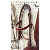 Image 1 : Old Timer Headstall With Quick Change Roller