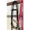 Image 1 : Fancy Show Bridle