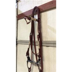 Fancy Show Bridle With Rawhide