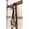 Image 1 : Fancy Show Bridle With Rawhide