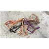 Image 1 : 6 Good Used Halters