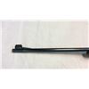 Image 9 : Winchester Model 70 .22 Hornet
