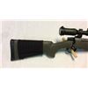 Image 2 : Howa Model 1500 .243