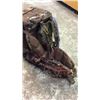 Image 4 : Browning Hunting Pack