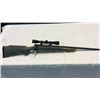 Image 1 : Winchester .338 Win Mag