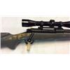 Image 3 : Winchester .338 Win Mag