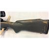 Image 8 : Winchester .338 Win Mag
