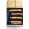 Image 2 : 10pc Opinel Knife Set Made In France