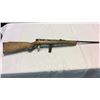 Image 1 : Kmart Model 20 .22lr