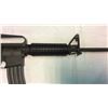 Image 3 : Colt Ar-15 A2 .223 Sporter Ii