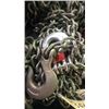 Image 1 : 13ft chain