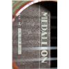Image 2 : MEDALLION ACOUSTIC GUITAR E796