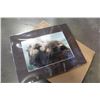 Image 2 : LIMITED EDITION OTTER PRINT AND OTHER PICTURES