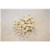Image 1 : LARGE PIECE OF CORAL