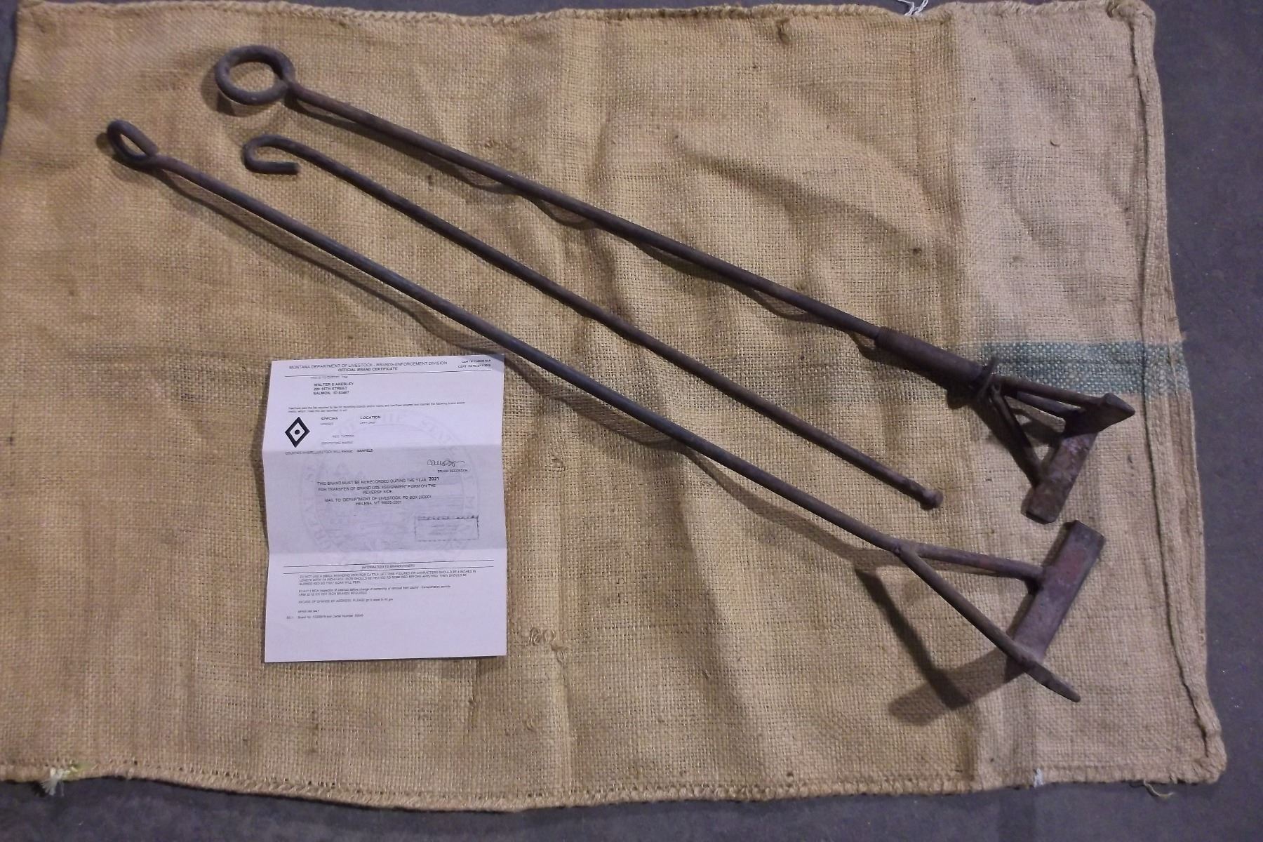 Montana Registered Brand Diamond with a Dot Inside Left Jaw Horses Notarized 3 Irons Sell