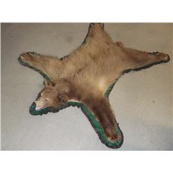 Chocolate Black Bear Rug- Squares 5'- Double Matted