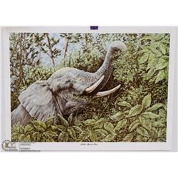 GAIL ADAMS PRINT "LITTLE GREAT ONE" PRINT WITH COA