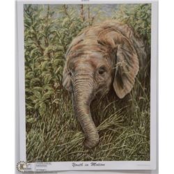 GAIL ADAMS PRINT "YOUTH IN MOTION" PRINT WITH COA