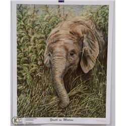 GAIL ADAMS PRINT "YOUTH IN MOTION" PRINT WITH COA