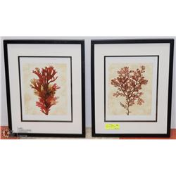 SET OF 2 PICTURES FRAMED