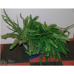 2 GREEN FERN PLANTERS