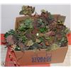 Image 1 : BOX OF GRAPE VINES