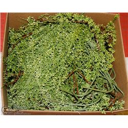 BOX OF VARIOUS VINES