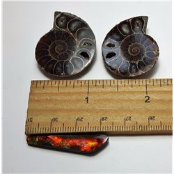 #14 - LOT OF MATCHED AMMONITE FOSSIL SPECIMENS