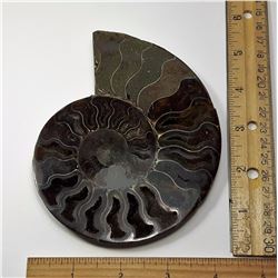 #19 - MASSIVE 222.3 GRAM AMMONITE FOSSIL