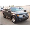 Image 13 : 2009 FORD ESCAPE XLT, AWD