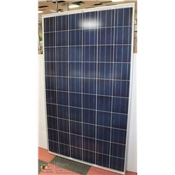LARGE TRINA SOLAR PANEL 245 PEAK POWER WATTS(WP)