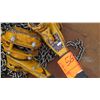 Image 2 : Qty 2 Harrington Chain Hoist w/Chain