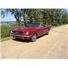 Image 2 : NO RESERVE! 1964 1/2 FORD MUSTANG CONVERTIBLE