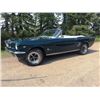 Image 3 : NO RESERVE! 1966 FORD MUSTANG CONVERTIBLE