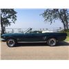 Image 4 : NO RESERVE! 1966 FORD MUSTANG CONVERTIBLE