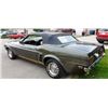 Image 2 : 1969 FORD MUSTANG GT CONVERTIBLE