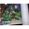 Image 1 : ROLL OF FISH TANK BACK DROP PAPER
