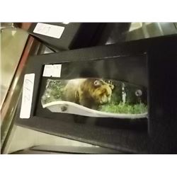 FOLDING KNIFE WITH BEAR IMAGE