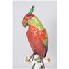 Image 2 : German Porcelain Parrot