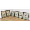 Image 1 : After Francois Nicolas Martinet, 6 Bird Prints