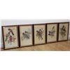Image 2 : Lot of 9 Bird Prints