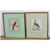 Image 3 : After Francois Nicolas Martinet, 6 Bird Prints
