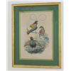 Image 4 : After J. Gould & W. Hart, 2 Colored Lithos-Birds