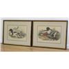 Image 1 : Two Colored Lithos-Ducks