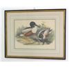 Image 2 : Two Colored Lithos-Ducks