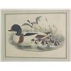 Image 3 : Two Colored Lithos-Ducks