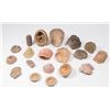 Image 2 : Group Lot Stone Molds, Whorls, and more