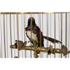 Image 2 : Vintage Birdcage Music Box Automaton with Crank