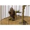 Image 3 : Vintage Birdcage Music Box Automaton with Crank