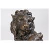 Image 2 : Richer, 2 Lions